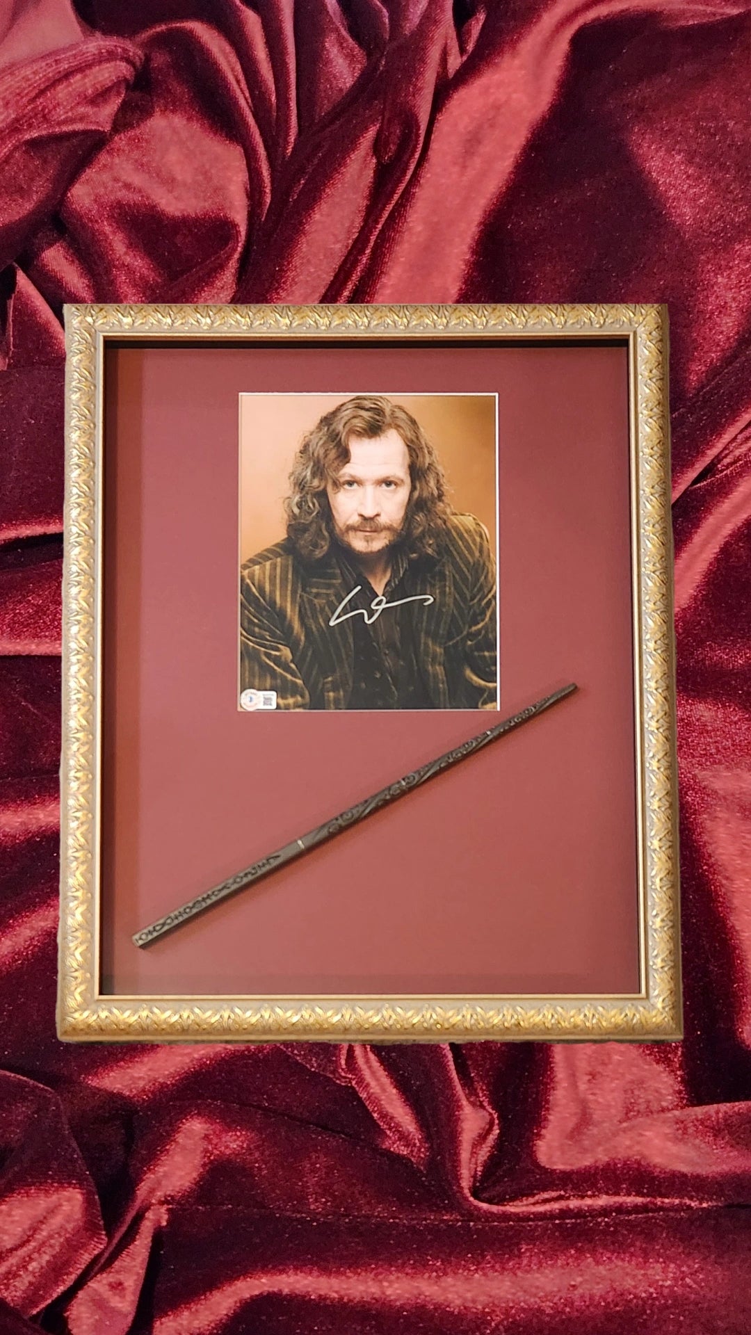 Harry Potter - Sirius Black - Gary Oldman