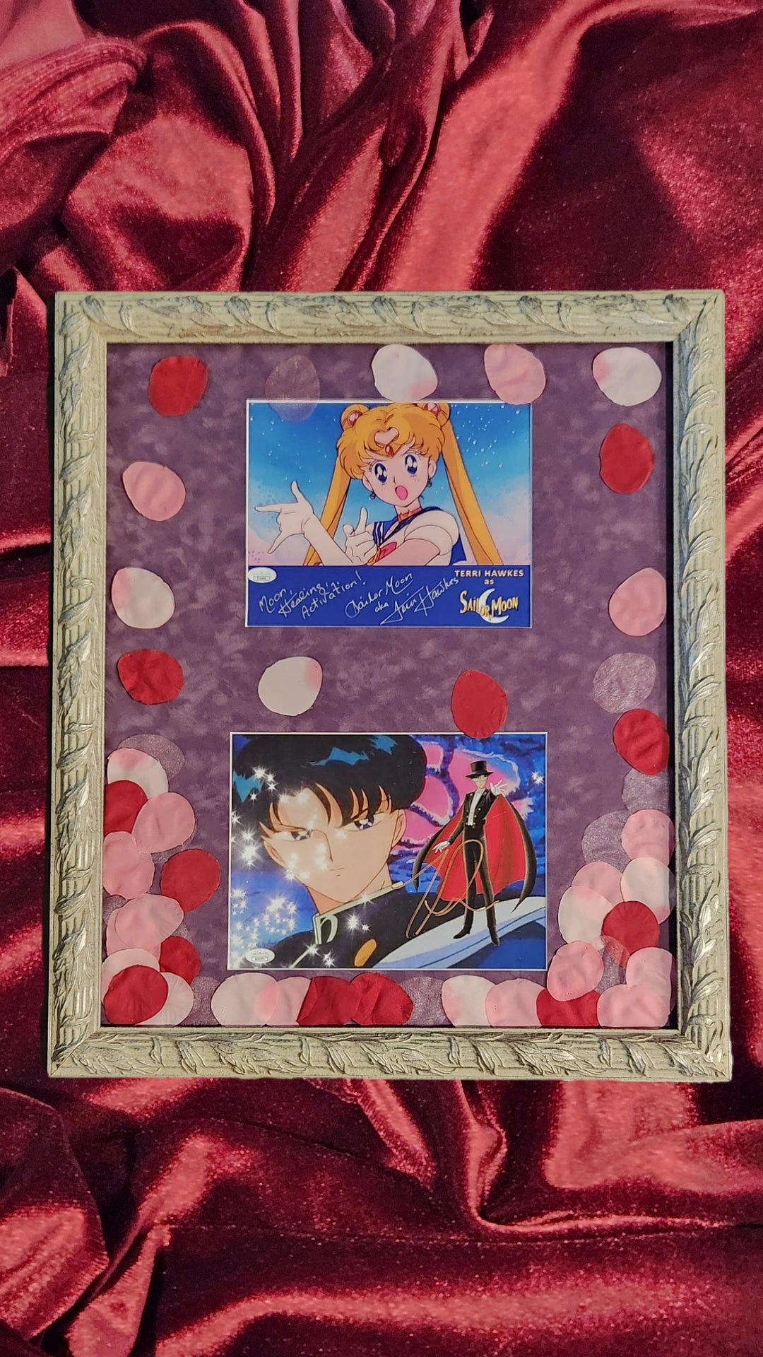 Sailor Moon - Sailor Moon & Tuxedo Mask- Terri Hawks & Toby Proctor