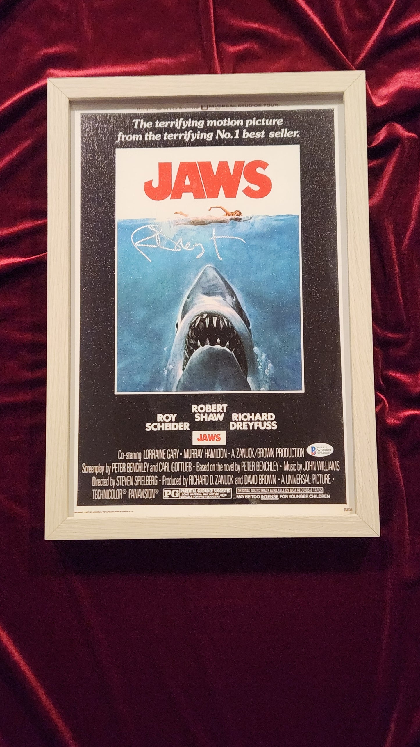 Jaws - Matt Hopper
