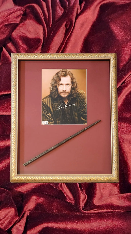 Harry Potter - Sirius Black - Gary Oldman