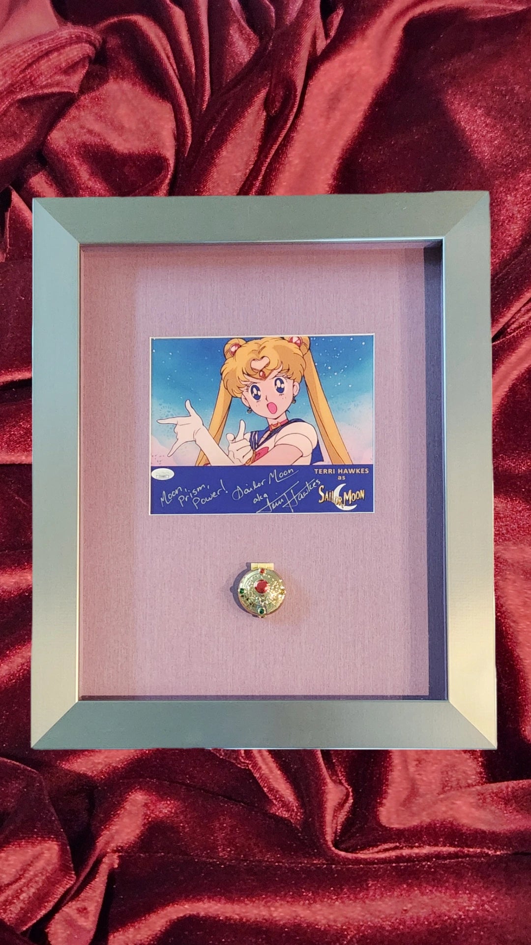 Sailor Moon - Sailor Moon- Terri Hawks